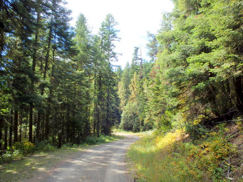 Pedaling towards Fatty Creek Road, on the GDMBR.